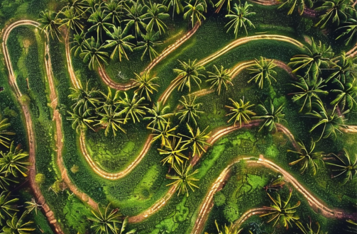 Balancing Economic Growth and Environmental Care