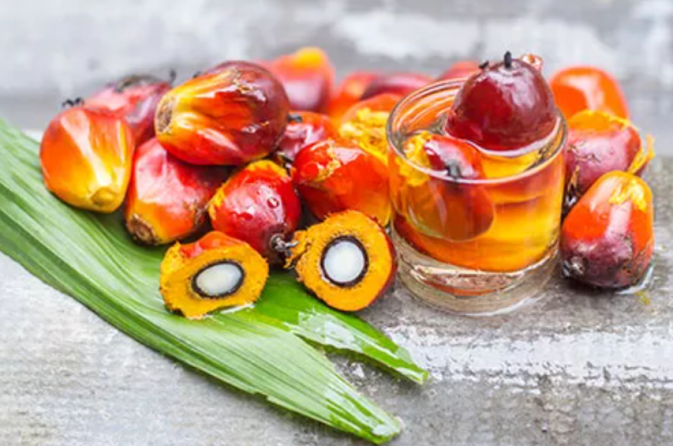 Palm Oil – A Balanced Look at Its Role in Diet and Health